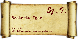 Szekerka Igor névjegykártya